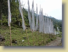Sikkim-Mar2011 (191) * 3648 x 2736 * (6.17MB)